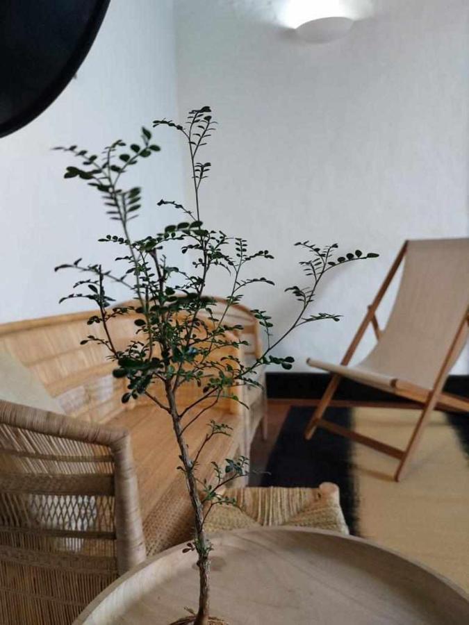 Casa Yooj Designers House In Teguise Apartment Teguise  Ngoại thất bức ảnh